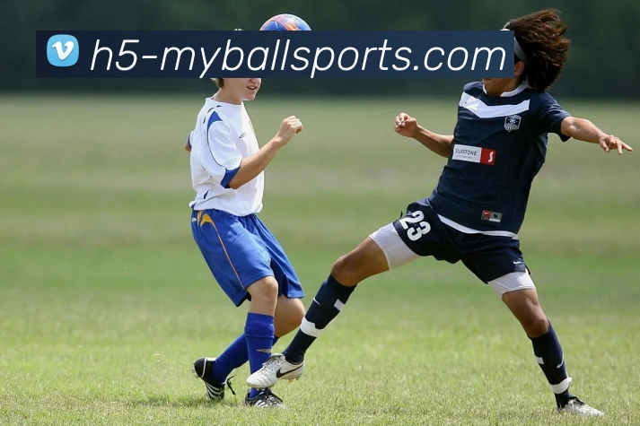 体育下注服务体系