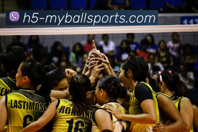 多媒体互动体验