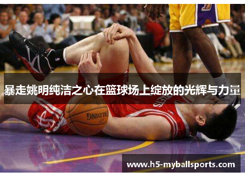 暴走姚明纯洁之心在篮球场上绽放的光辉与力量